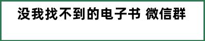 没我找不到的电子书 微信群